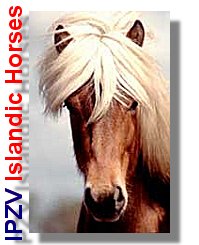 Well those horses are NO CYBER FRIENDS - they are REAL FRIENDS - check out some info in GERMAN about Islandic Horses !!